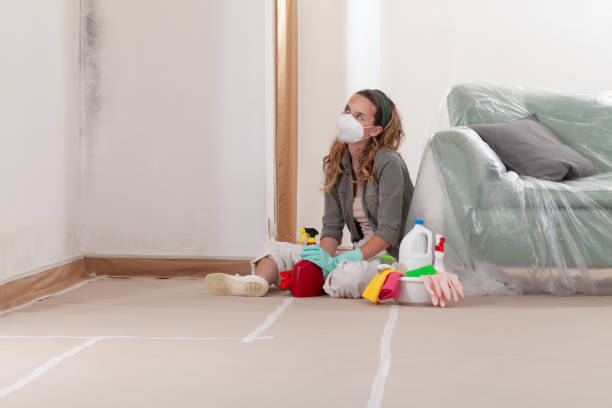 Reliable Bathroom Mold Removal contractor in Villa Park, IL by WQB Mold Removal